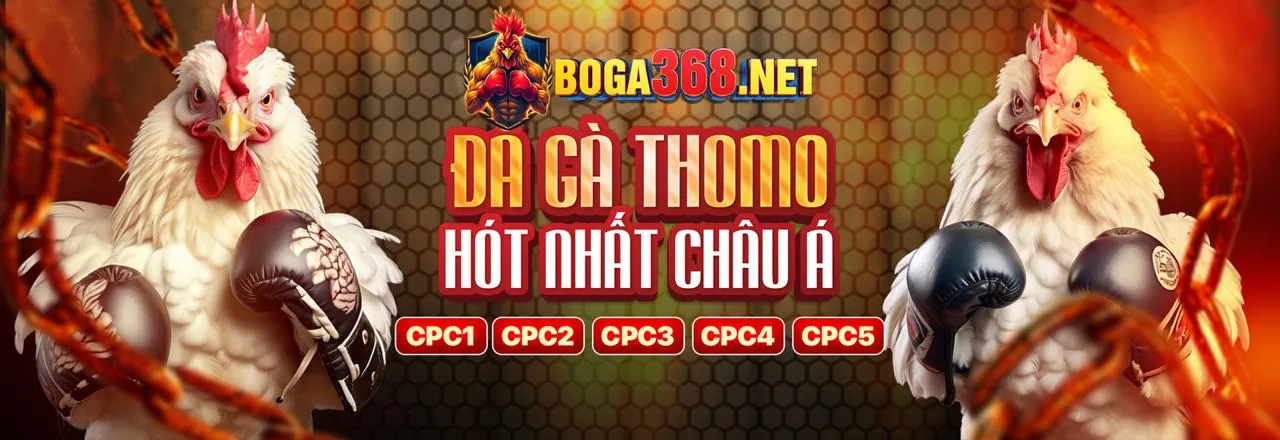Thị trường cá cược trực tuyến tỉ lệ kèo 88 tại Việt Nam